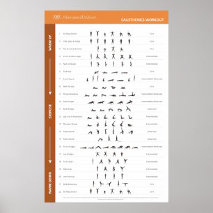 HN-Poster - medel Poster