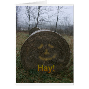 Hö! Hälsningskort