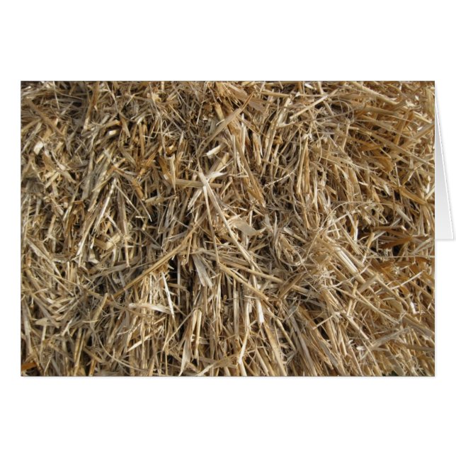 Hö! Hö! 2 Hälsningskort (Framsidan Horizontal)