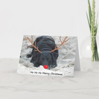 Ho Ho Ho god jul Helgkort