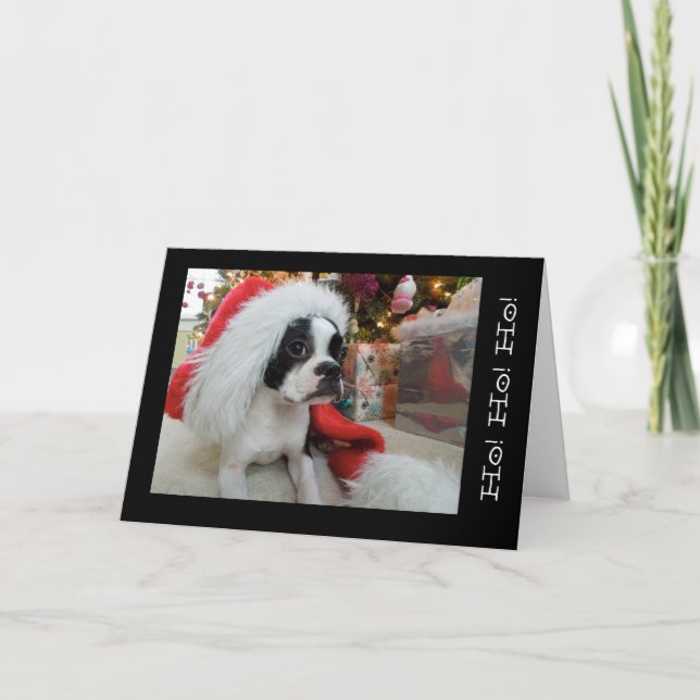 Ho! Ho! ho! God jul Lola B. Boston Helgkort (Framsida)