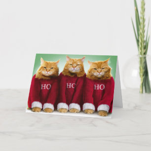 Ho Ho Ho Ho Tre katter God jul-hälsningskort Kort