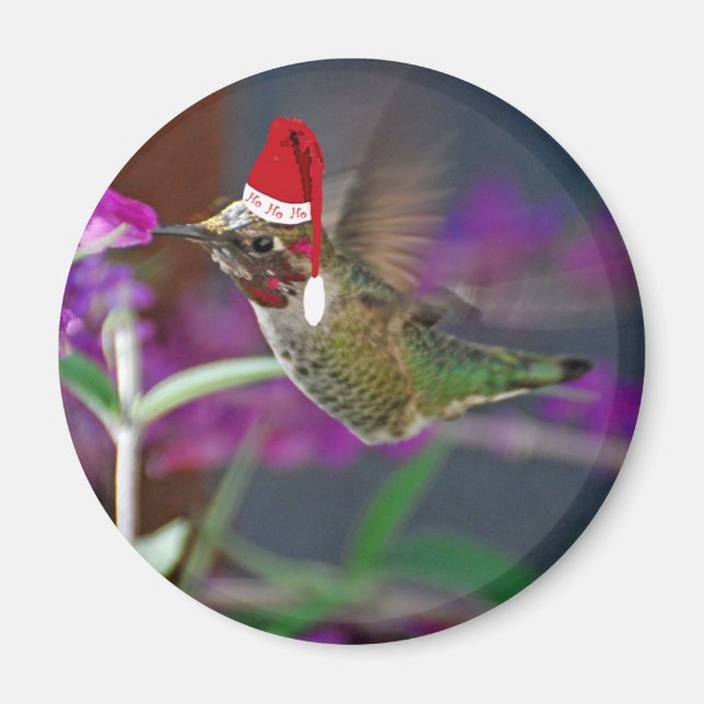 Ho Ho Ho Hummingbird Magnet (Framsidan)
