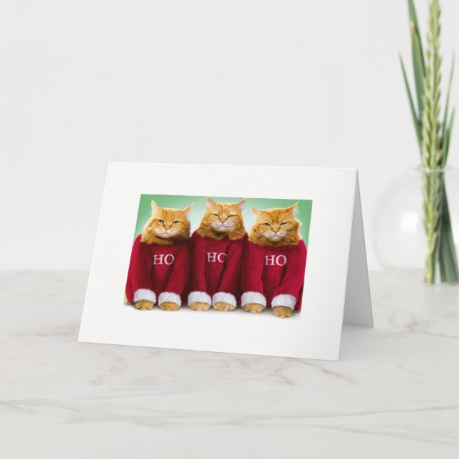 Ho Ho Ho kattjulaftonkort Helgkort (Framsida)