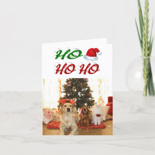 Ho Ho Ho Santa Hat-fotoskript för julfoto Helgkort