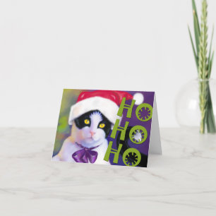HO HO HO Santa katt Helgkort