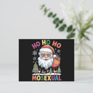 Ho Ho Homosexuell Jul Tomte Semestrar HBTQ Stolthe Helg Vykort