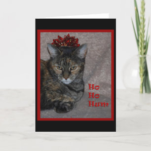 Ho Ho mummelkatt Helgkort