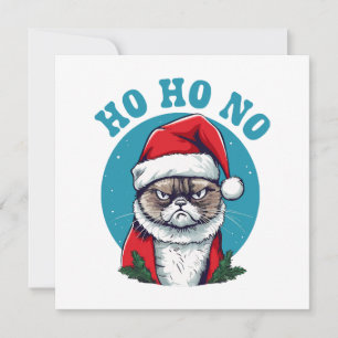 Ho ho nej - rolig grinig tomte katt