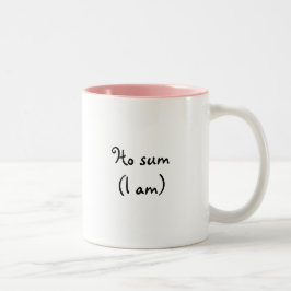 Ho sum- Mugg