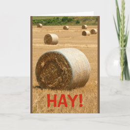 HÖ! Vill du vara min Valentine? Kort