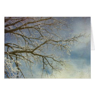 Hoar Frost, Gott nytt år! Hälsningskort