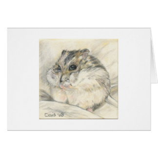 Hoarding Hamster OBS Kort