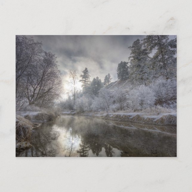 Hoarfrost längs en slough på Kelly Island Vykort (Framsida)