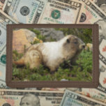 Hoary Marmot Wildlife Photo<br><div class="desc">För naturen fläkt! Säkra pengar och kredit-kort med den här plånboken som innehåller fotobilden av en Hoary Marmot. Markera din plånbok färg.</div>