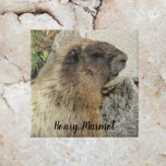 Hoary Marmot Wildlife Photo Kakelplatta<br><div class="desc">Keramiskt plattor som ger en bild av vilda djur i en hoary Marmot,  ett djur som lever i alpområdena i Nordamerikas väster. Markera din ruta storlek. Gör en underbar kökstrivet!</div>