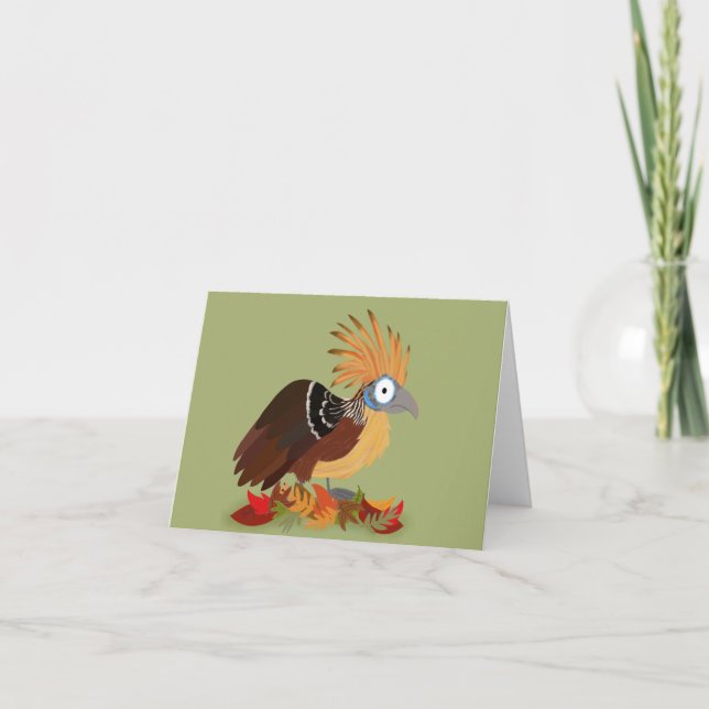 Hoatzin-kort Kort (Framsida)