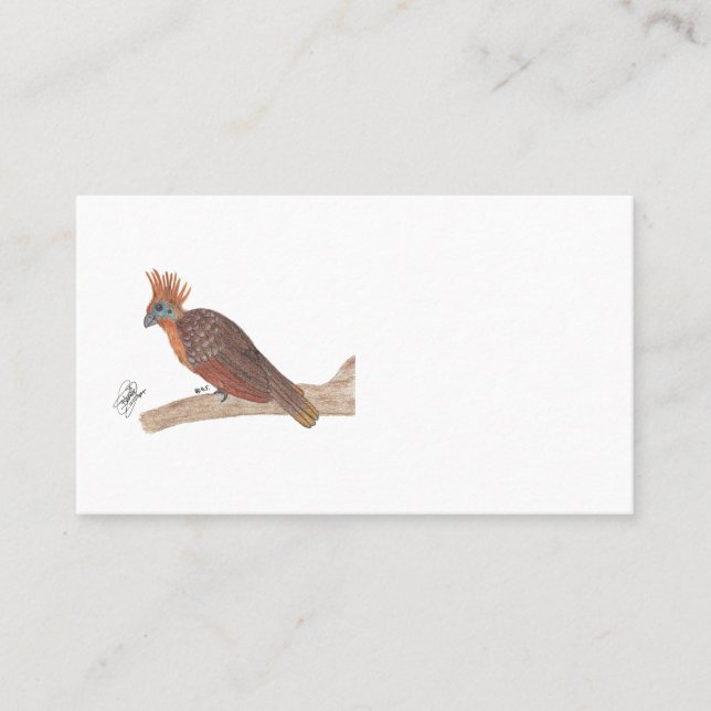 HOATZIN VISITKORT (Framsida)