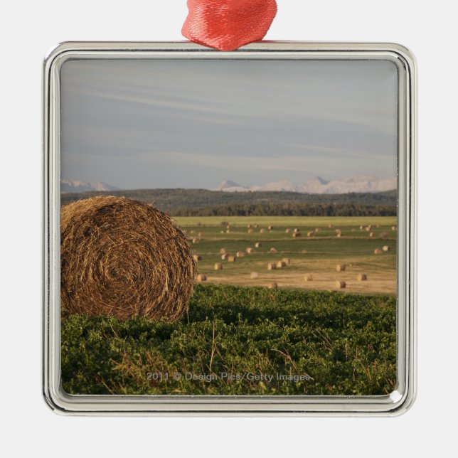 Höbaler i ett fält med berg på soluppgången julgransprydnad metall (Framsidan)