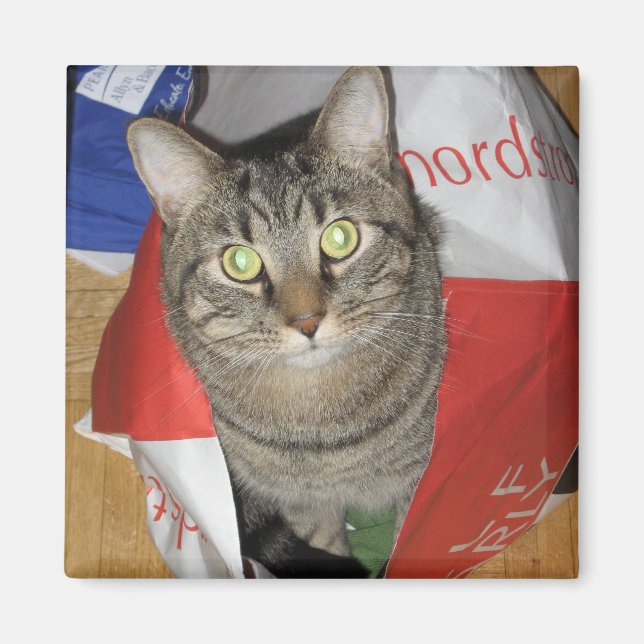 Hobbes Magnet (Framsidan)