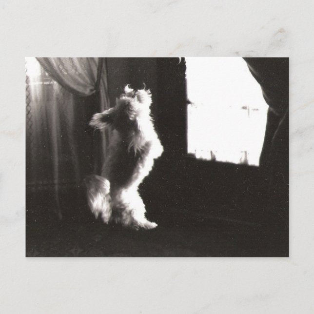 Hobbitt Postcard Vykort (Framsida)