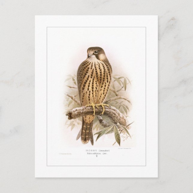 Hobby Vykort (Framsida)