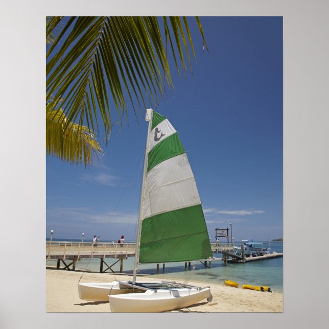 Hobie Cat, Plantation Island Resort Poster (Framsidan)