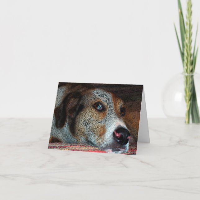 HOBIE Catahoula Cowdog Kort (Framsida)