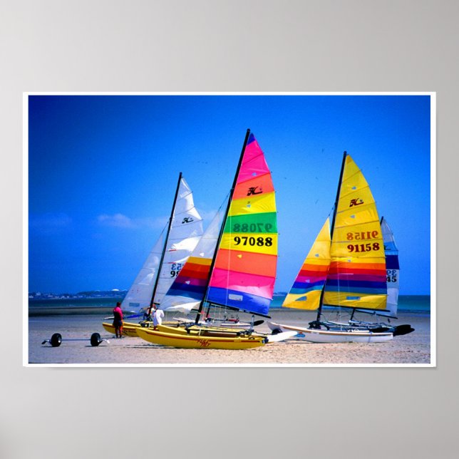 HOBIE CATS I JERSEY POSTER (Framsidan)
