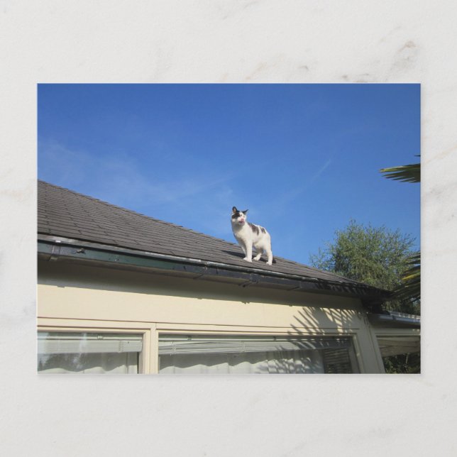 Hoch hinaus vykort (Framsida)