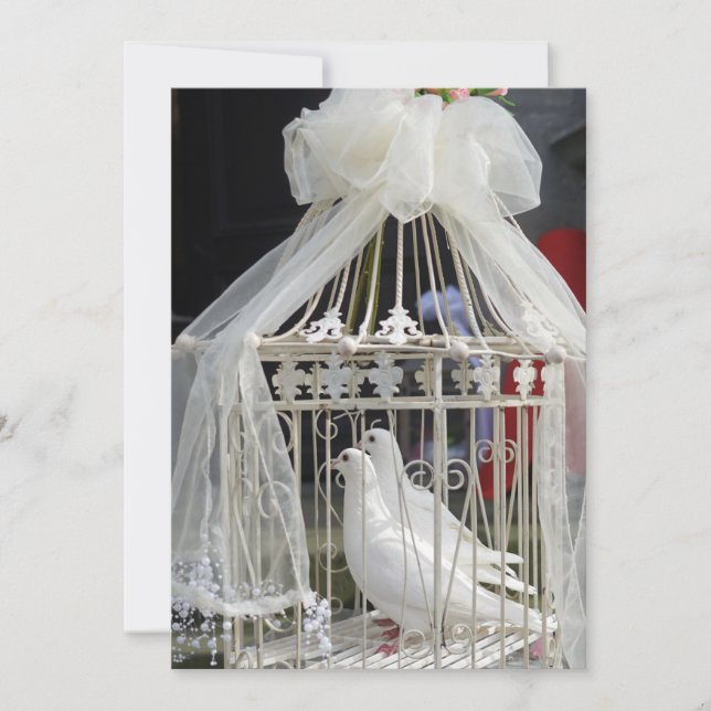 Hochzeits Tauben warten auf das Brautpaar Inbjudningar (Framsida)