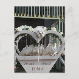 Hochzeits Tauben warten auf das Brautpaar Vykort