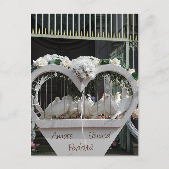 Hochzeits Tauben warten auf das Brautpaar Vykort (Framsida)