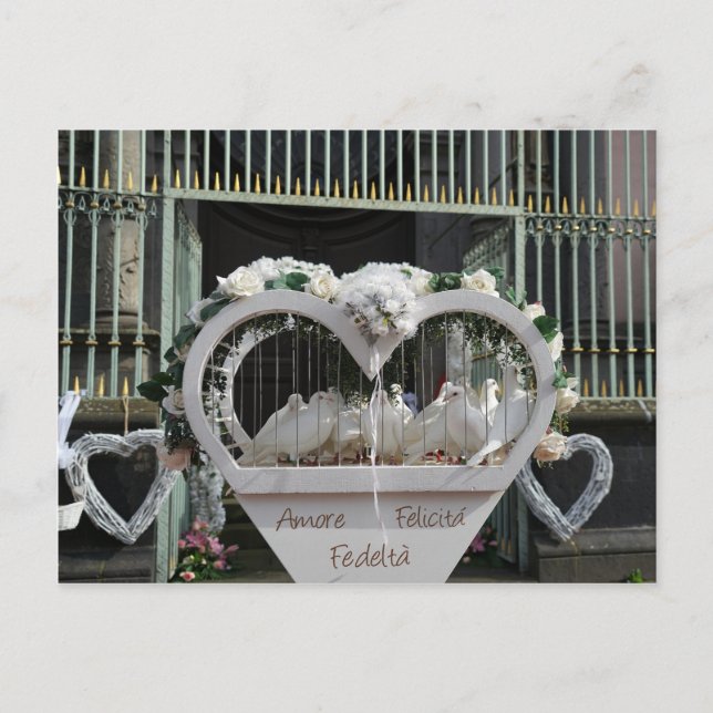 Hochzeits Tauben warten auf das Brautpaar Vykort (Framsida)