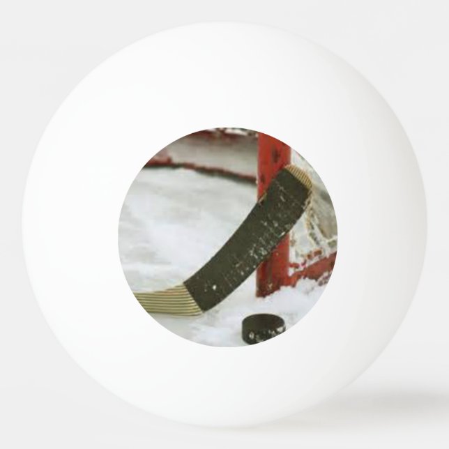 hockeynätsmål pingisboll (Baksidan)