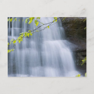 Hocking Backe Waterfall Vykort