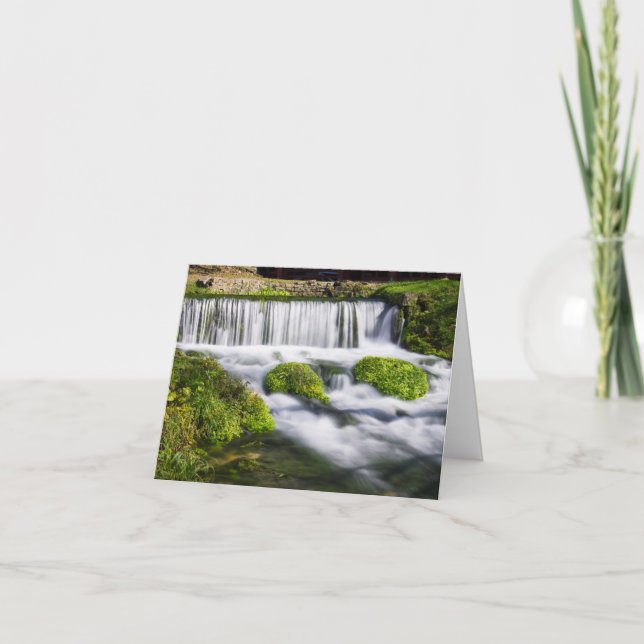 Hodgson Vår bollar Greeting Card Kort (Framsida)