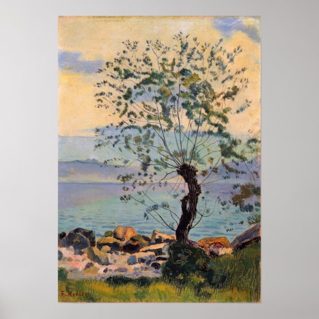 Hodler - Meadow 1890 Poster (Framsidan)