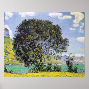 Hodler - Träd vid Brienzersee 1906 Poster