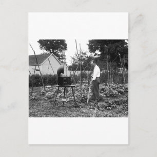 Hoe Down: 1926 Vykort