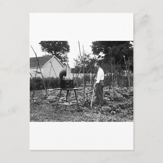 Hoe Down: 1926 Vykort (Framsida)