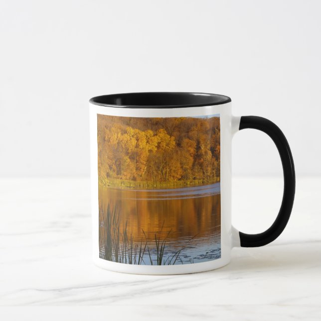 Höfärg i Maplewood State Park nära Mugg (Höger)