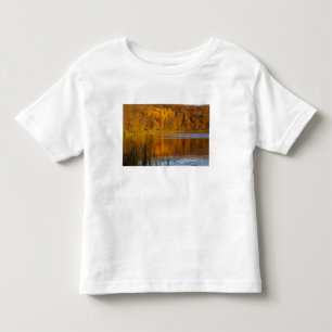 Höfärg i Maplewood State Park nära T-shirt