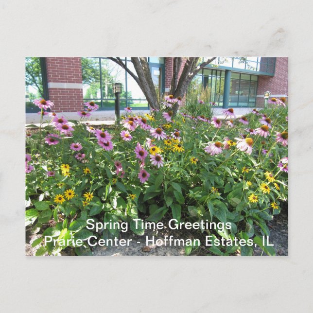 Hoffman Gods, Illinois Prarie Center Hälsning P Vykort (Framsida)