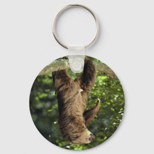 Hoffmanns två-toed sloth nyckelring