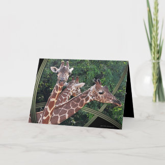 Hoffmans Hawaii Kort