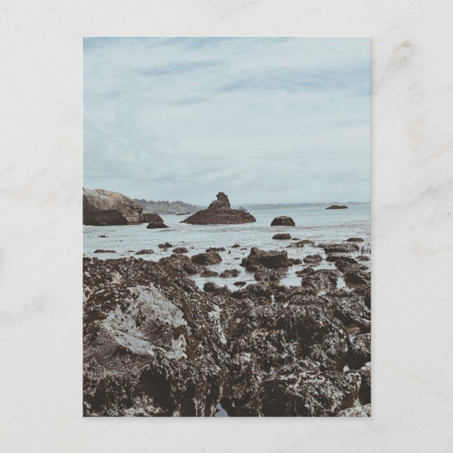 Hög 1 Rocky Beach Vykort (Framsida)