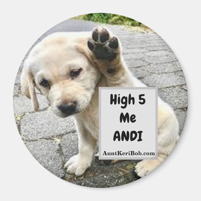 Hög 5 Me Andi Puppy Magnet (Framsidan)