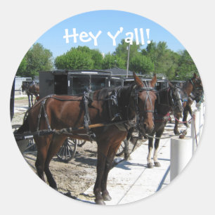Hög Amish hästnågot att säga! Runt Klistermärke