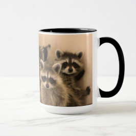 Hög av raccoonsmug.en mugg